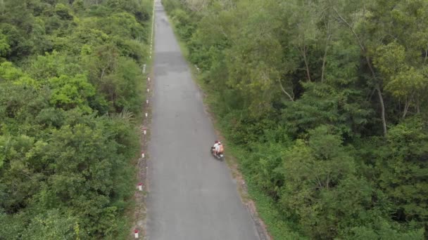 一对夫妇骑摩托车在内陆的猫八岛 旅行目的地在越南 两个骑摩托车的人穿过茂密的绿色丛林和喀斯特山脉 旅行探险的概念 Log平面颜色配置文件 — 图库视频影像