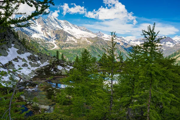 Alpské Jezero Idylickém Prostředí Uprostřed Skal Lesů Přírodní Nádrž Sladké — Stock fotografie