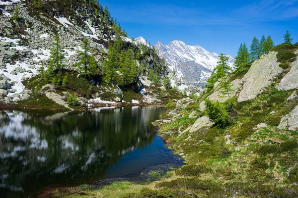 Lac Alpin Dans Environnement Idyllique Milieu Des Roches Forêt Réservoir — Photo