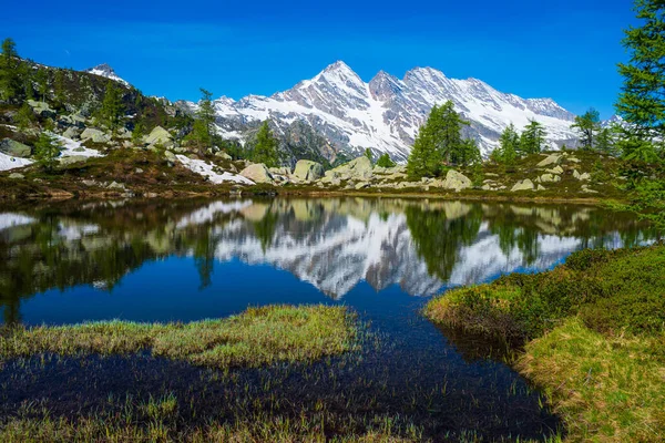 Alpské Jezero Idylickém Prostředí Uprostřed Skal Lesů Přírodní Nádrž Sladké — Stock fotografie