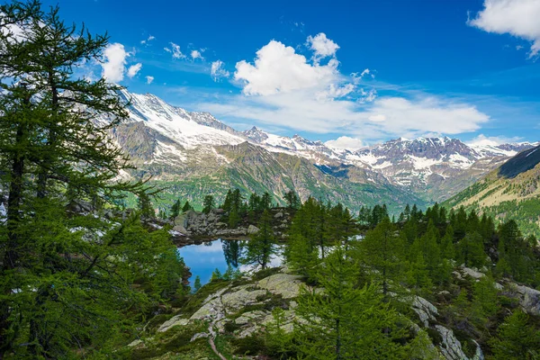 Lago Alpino Ambiente Idílico Meio Rochas Florestas Reservatório Natural Água — Fotografia de Stock