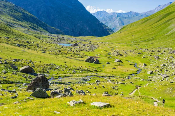 Fluxo Alpino Vale Idílico Meio Rochas Prados Verdes Reservatório Natural — Fotografia de Stock