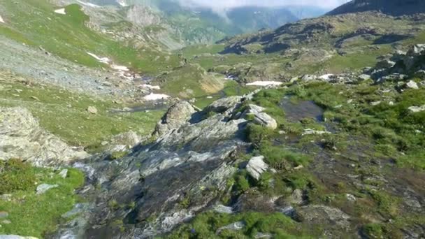 Alpine Landschaft Hoher Gebirgsbach Idyllischer Unberührter Umgebung Inmitten Von Felsen — Stockvideo