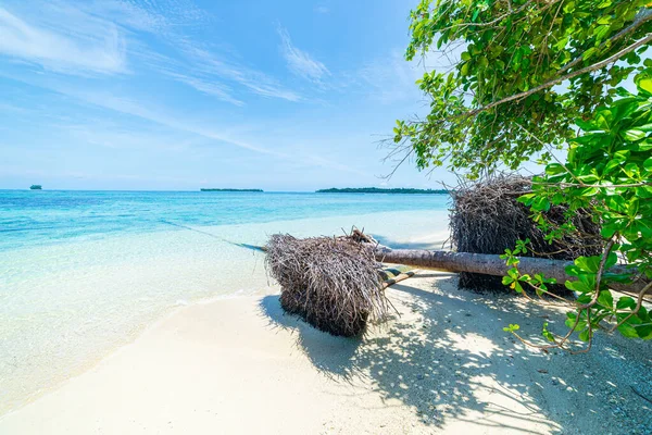 Weißer Sandstrand Mit Kokospalmen Türkisblaues Korallenriff Tropisches Reiseziel Wüstenstrand Ohne — Stockfoto