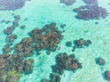 Mercan resifi tropikal Karayip denizinde şnorkelle yüzen insanlar, turkuaz mavi su. Endonezya Wakatobi takımadaları, deniz milli parkı, turist dalış merkezi