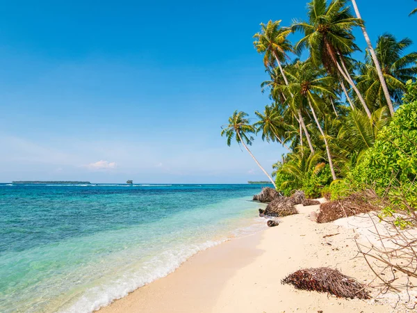 Weißer Sandstrand Mit Kokospalmen Türkisblaues Korallenriff Tropisches Reiseziel Wüstenstrand Ohne — Stockfoto