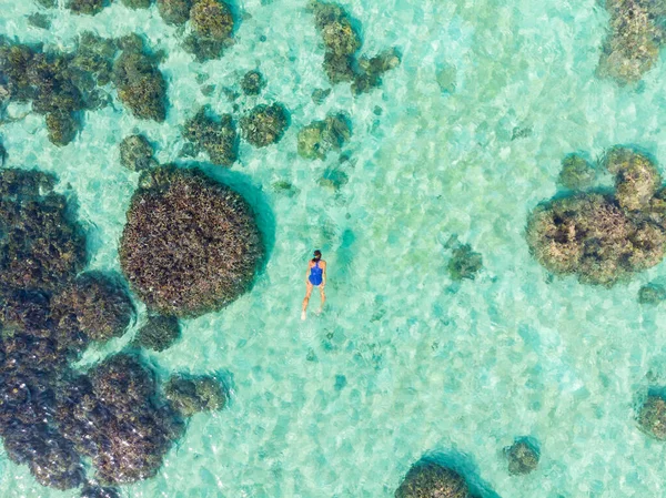 Gente Aérea Arriba Abajo Haciendo Snorkel Arrecife Coral Mar Tropical — Foto de Stock