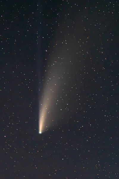 Комета Неовизе Двойные Хвосты Светятся Ночном Небе Телефото Вид Детали — стоковое фото