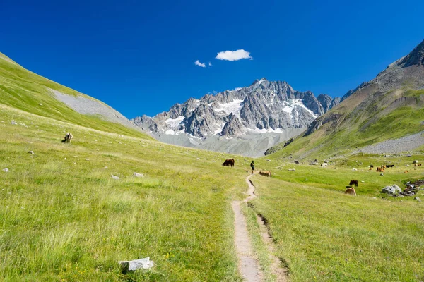 Paisagem Montanhosa Nos Alpes Franceses Maciço Dos Ecrins Montanhas Rochosas — Fotografia de Stock