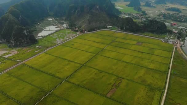 Anteny Północny Wietnam Krajobraz Krasowy Widok Drona Regionu Ninh Binh — Wideo stockowe