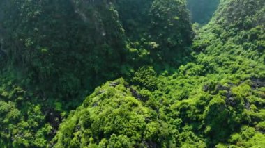 Hava: Kuzey Vietnam karst manzarası, Ninh Binh bölgesinin insansız hava aracı görüntüsü, Trang An Coc turizm merkezi, eşsiz kireçtaşı tepeleri ve pirinç tarlalarından akan nehir