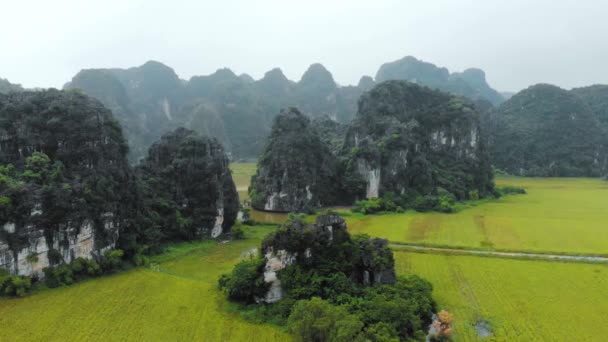 Luchtfoto Noord Vietnam Karst Landschap Drone Uitzicht Ninh Binh Regio — Stockvideo