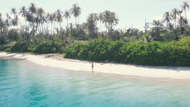 Повітряний Повільний Рух Леді Ходить Тропічному Пляжу Заході Сонця Далеко — стокове відео
