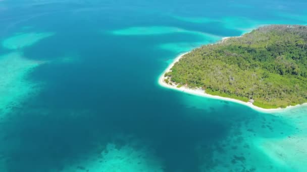 Lotnictwo Latanie Nad Egzotyczną Tropikalną Wyspą Dala Tego Wszystkiego Rafa — Wideo stockowe