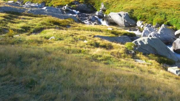 Alpenlandschap Hoge Bergstroom Een Ongerepte Omgeving Temidden Van Rotsen Weiden — Stockvideo