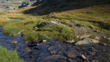 Alp manzarası, kirlenmemiş çevredeki yüksek dağ akıntısı kayalar ve çayırlar, karlı dağ sıraları ve buzullar arasında, cennet gibi yeşil vadiler. Alpler..