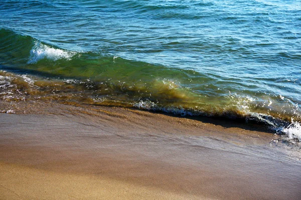 Transparent Green Wave of Lake Michigan. The Sand shines through the Water. White Foam on the Crest of the Wave. Water runs into Wet Sand. Sand Shoreline. State of Michigan, the city of Grand Haven.