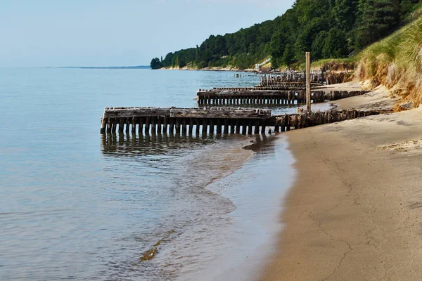 Sandy kıyı. Eski Piers Bay Lake Michigan plajda kazık. Çim ve ağaçları ile sahilde Cliff. Orman içinde belgili tanımlık geçmiş.