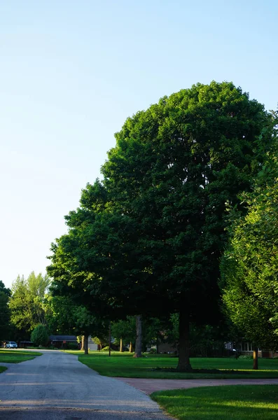 緑の木々 や小さな町の集落道 フランクフォートの街 インディアナ州 — ストック写真