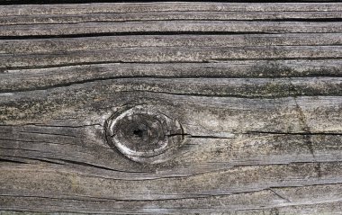 Ağaç arka plan deseni. Açık atış eski doku ahşap. Soyut backgroundwooden panoları. Kaltaklar. Çatlaklar. Doku ahşap plakalar çocuğu çatlaklar ile yakın çekim.                