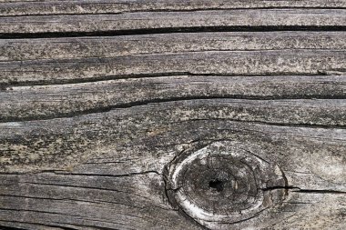 Fotoğraf resim eski ahşap Pano kabartma yüzey arka plan deniz mili ile racked. Eski ahşap arka plan doku sürtükler yakın çekim ile. Büyüme yüzük gösterilen.