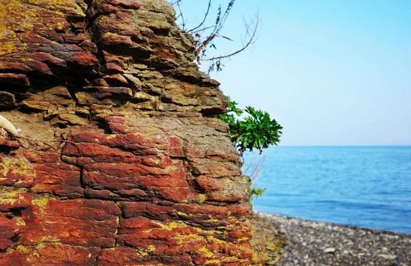 Deniz Çakıl Plaj Arka Planı Kırmızı Rock Portre Uçuruma Bir — Stok fotoğraf