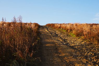 Ülke yolun ortasında yüksek bir tepe üzerinde yabani otlar bir alan. Gökyüzüne yol uzun ve zorludur. Doğu Rusya, Primorsky bölge, Vladivostok 