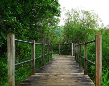 Tahta köprü geçit Michigan Eyaleti göl Park. Arka plan seyahat.