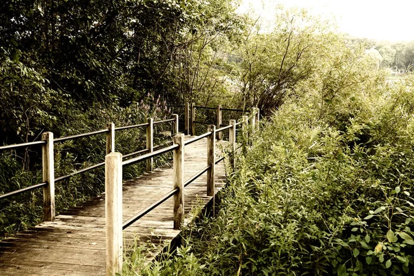 ön arka planda göl ve evler karşı yakasında köprü