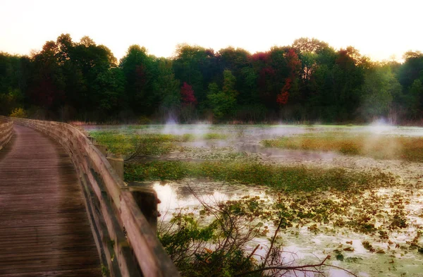 Ponte de madeira ao longo do lago místico com lírios e nevoeiro — Fotografia de Stock
