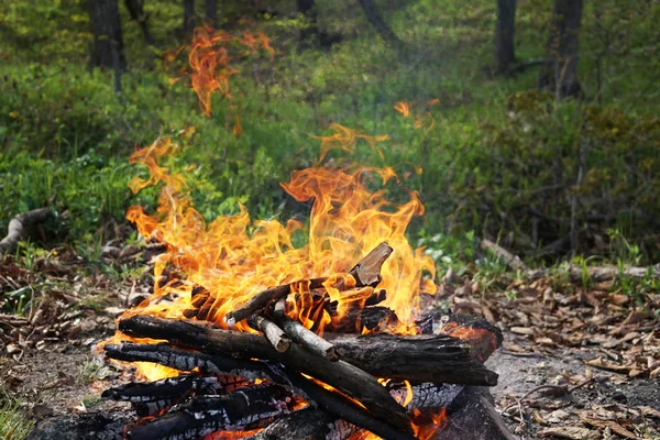 Brennende Flamme über Holzstämmen vor grünem Hintergrund für lizenzfreie Stockfotos