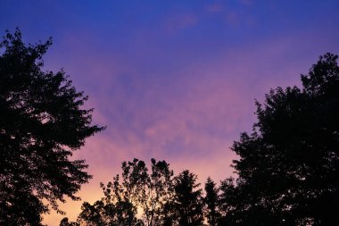 Sarı bulutlarla mor gün batımı gökyüzü