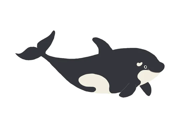 Linda ballena asesina sonriendo. Divertida orca. Dibujos animados vector dibujado a mano eps 10 niños ilustración libro aislado sobre fondo blanco en un estilo plano . — Vector de stock