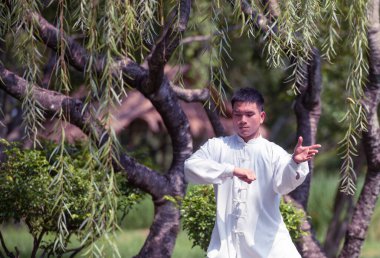 Tai Chi Chuan ustası kılıç tutuyor, Çin dövüş sanatları eğitimi.