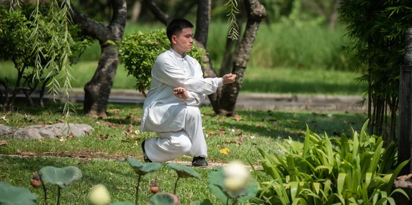 Tai Chi Chuan ustası kılıç tutuyor, Çin dövüş sanatları eğitimi.