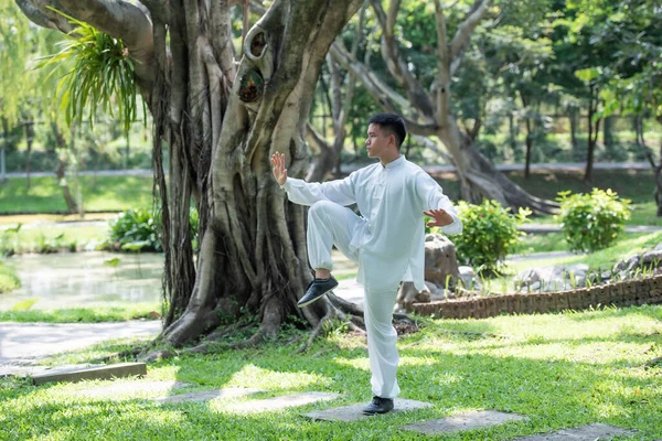 Tai Chi Chuan Master Trzyma Miecz Chiński Trening Sztuk Walki — Zdjęcie stockowe