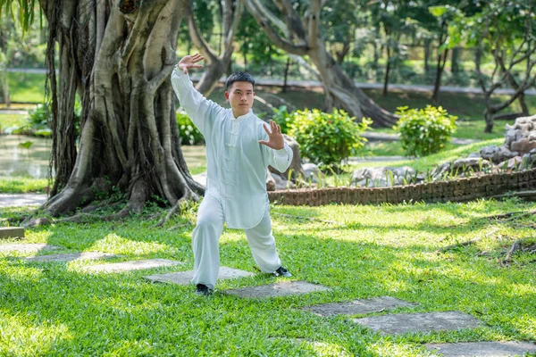 Tai Chi Chuan Master Trzyma Miecz Chiński Trening Sztuk Walki — Zdjęcie stockowe