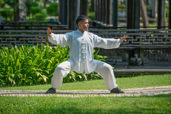 Geleneksel Tai Chi Chuan, Tai Ji ve Qi gong pratiği yapan genç adam sağlıklı, geleneksel Çin dövüş sanatları konsepti için parkta..