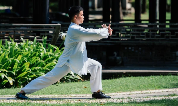 Tai Chi Chuan ustası kılıç tutuyor, Çin dövüş sanatları eğitimi.
