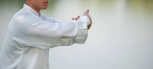 Tai Chi Chuan ustası kılıç tutuyor, Çin dövüş sanatları eğitimi.