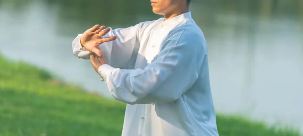 Tai Chi Chuan ustası kılıç tutuyor, Çin dövüş sanatları eğitimi.