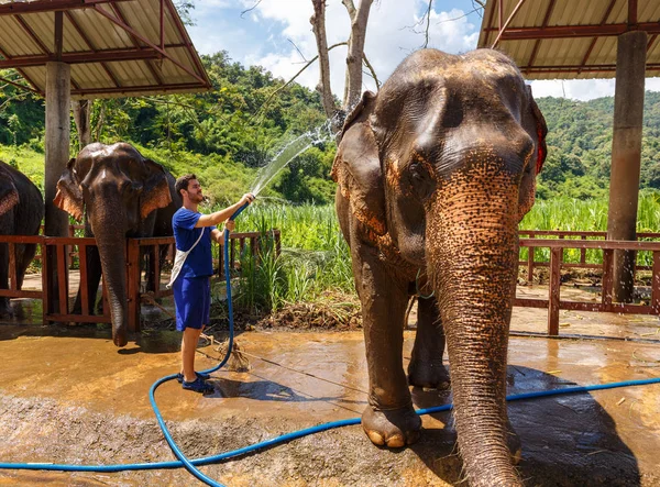 Hombres Jóvenes Lavan Elefante Santuario Chiang Mai Tailandia — Foto de Stock