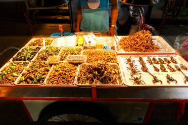 Bir sokak satıcısı Chiang Mai Tayland bir gece Pazar sokak bir durak, yenilebilir böcekler satıyor