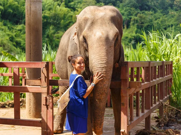 Chica Acaricia Elefante Santuario Chiang Mai Tailandia — Foto de Stock