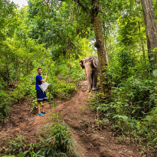 Joven Guiando Elefante Sendero Selva Chiang Mai Tailandia — Foto de Stock
