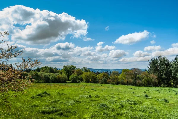 Camino de Santiago İspanya yanındaki yeşil çayır