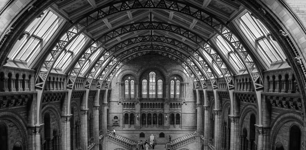 Εσωτερικό Της Φυσικής Ιστορίας Μουσείο Του Λονδίνου Ηνωμένο Βασίλειο — Φωτογραφία Αρχείου