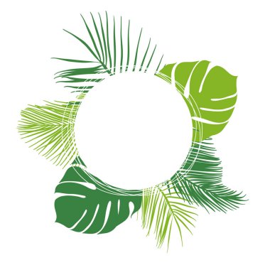 Yeşil yaz tropikal arka plan ile egzotik palmiye ve monstera bırakır. Vektör çiçek arka plan.