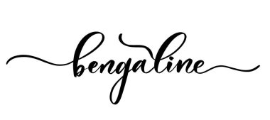 Bengalin - dükkan kumaşı, örgü, logo, tekstil için düz çizgileri olan vektör kaligrafik yazı.
