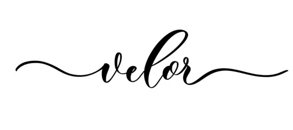 Velor Векторная Каллиграфическая Надпись Гладкими Линиями Цеха Тканей Вязания Логотипа — стоковый вектор